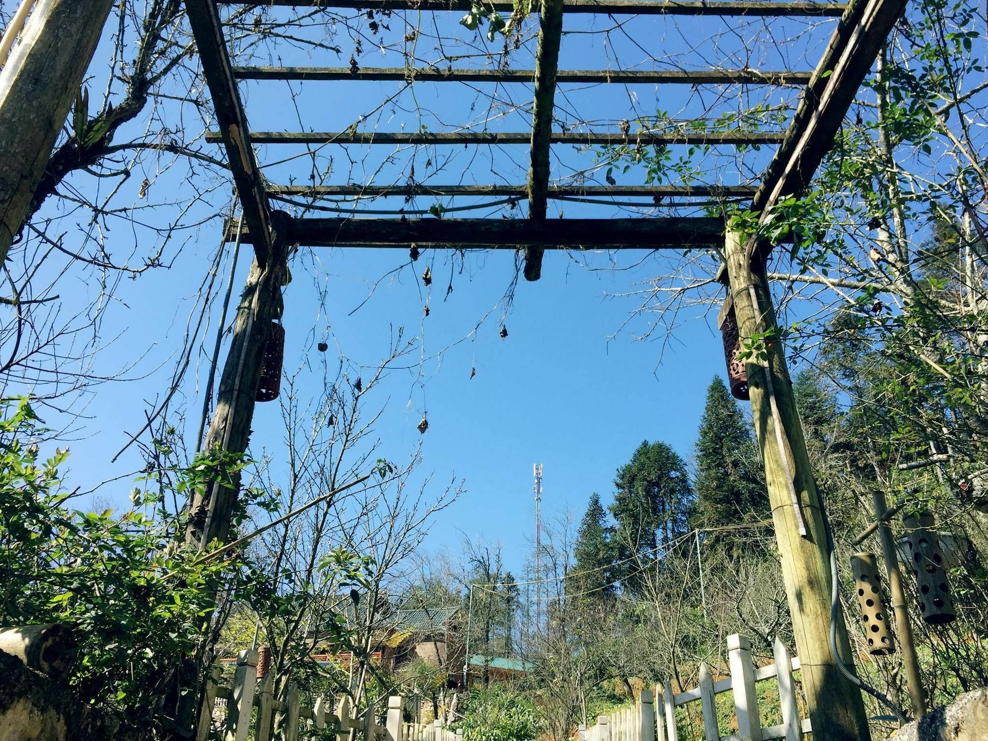 萨帕花园民宿 外观 照片